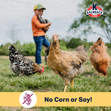 ORGANIC Kalmbach Feeds NO SOY NO CORN Henhouse Reserve 16% Complete Layer Feed for Hens, 30 lb