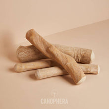 CANOPHERA LLC - Dog Chew Stick Made of Coffee Wood Various Sizes
