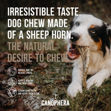 Canophera Sheep Horn Dog Chew Various Sizes