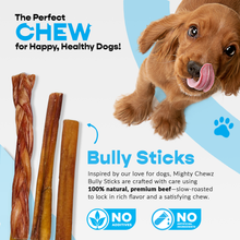 6" Braided Bully Chew Odor Free USA Sourced Highly Digestible