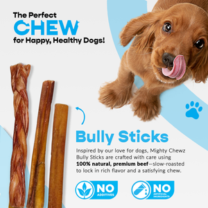 6" Braided Bully Chew Odor Free USA Sourced Highly Digestible