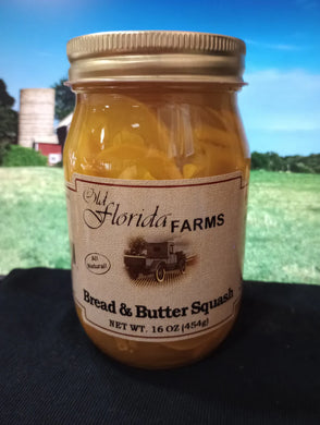 Bread & Butter Squash Old Florida Farm