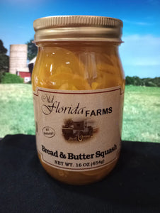 Bread & Butter Squash Old Florida Farm