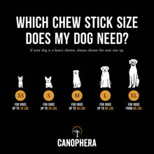 CANOPHERA LLC - Dog Chew Stick Made of Coffee Wood Various Sizes