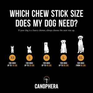 CANOPHERA LLC - Dog Chew Stick Made of Coffee Wood Various Sizes