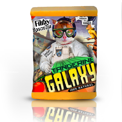 Filthy Farmgirl - Filthy Spacecat Soap