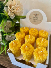Thy Will Bee Done Apiary - Sunflower Candle Bulk Set, Beeswax Pillar candle, Display Se