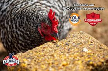 Henhouse Reserve® with Crumbles for Chickens and Poultry 35lb  18% Protein