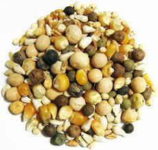 FMB Best Of Show Pcrn 50 lb