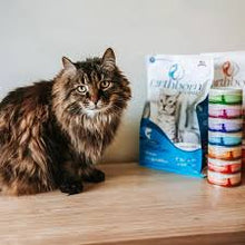 Earthborn Holistic® Wild Sea Catch™ Grain-Free Cat Food Multi Sizes