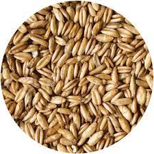Race Horse Whole Oats Feed Various sizes