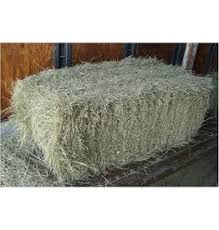 O&A Bale Hay 2 string bale Orchard and Alfalfa Forage Hay Feed