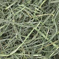 Rabbit Hay Bulk Buy