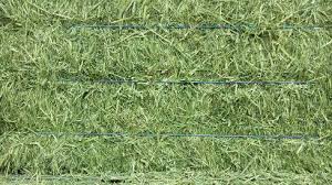 O&A 3 String HUGE BALES O&A