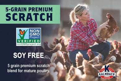 Kalmbach Non-Gmo Soy Free Scratch Grain Chicken Feed 50lb