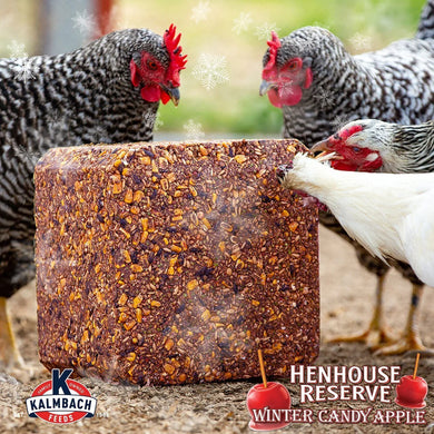 Kalmbach Feeds Henhouse Reserve Apple Flavored Treat Block for Chickens, 20-lb block