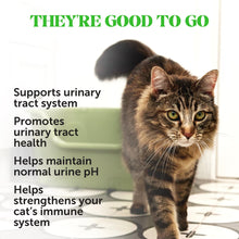 Pet Honesty Urinary Support Supplement Cat 3.7 oz