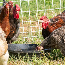 Rubber Livestock Feeding Pans Multiple Styles with or without handles