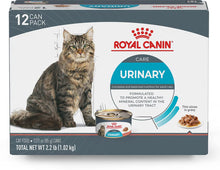 Royal Canin Feline Care Nutrition Urinary Care Thin Slices in Gravy Wet Cat Food,