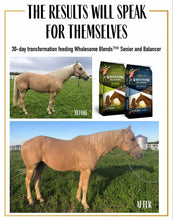 Tribute Wholesome Blends Balancer 50lb bag