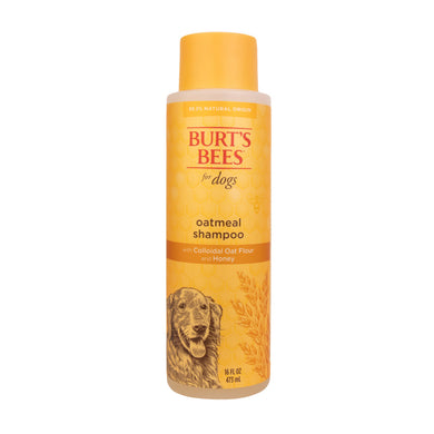 Burt's Bees Oatmeal Shampoo with Colloidal Oat Flour & Honey 16 fl oz