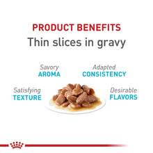 Royal Canin Feline Care Nutrition Urinary Care Thin Slices in Gravy Wet Cat Food,