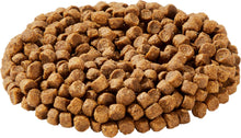 Diamond Puppy Formula Dry Dog Food Various Sizes