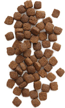 Earthborn Holistic® Primitive Natural™ Adult & Puppy Buy 12 get 1 Free