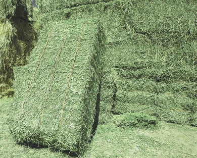Alfalfa Hay 2 String Heavy Bales 65lb each