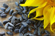 Black Oil Sunflower Seeds AGF Various Sizes