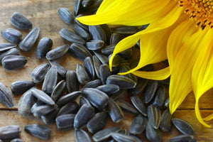 Black Oil Sunflower Seeds AGF Various Sizes
