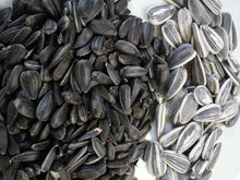 Black Oil Sunflower Seeds AGF Various Sizes