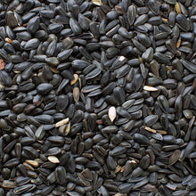 Black Oil Sunflower Seeds AGF Various Sizes