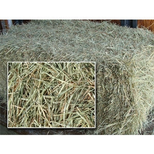 Farm Fresh Feed Quality Coastal Hay Bale 2 string Perfect for bedding and Gardening