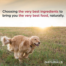 Diamond Naturals Beef Meal & Rice Formula Adult Dry Dog Food, 40-lb bag