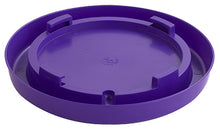 Little Giant 1 Gallon Nesting Jar Base Only Chicken Waterer