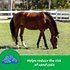 Sand Natural Psyllium Fiber Crumbles Apple/Molasses Flavor Horse Supplement