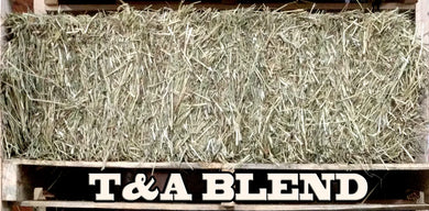 T&A Hay (Canadian)