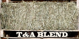 T&A Hay (Canadian)
