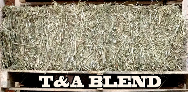 T&A Hay (Canadian)